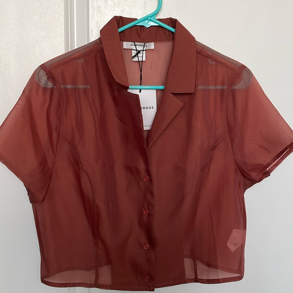 A brown sheer crop top